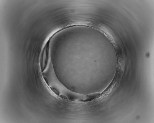 X0000099570804200805161515