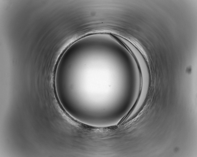 X0000099570805200805161515