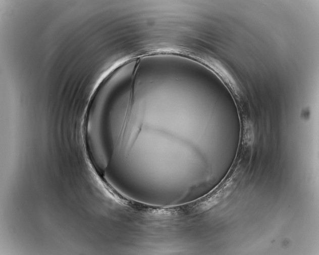 X0000099570806200805161515