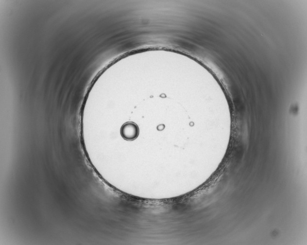 X0000099570807200805161515