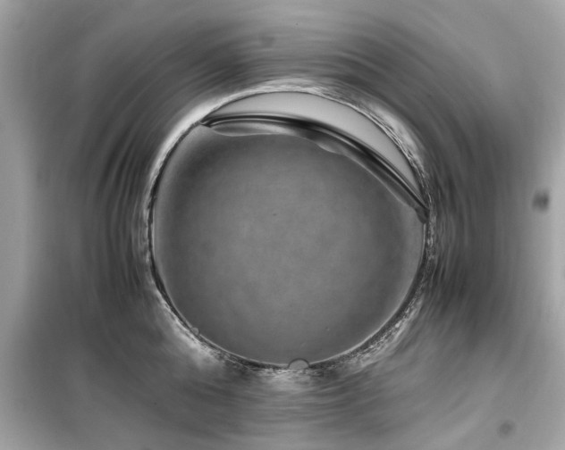 X0000099570808200805161515