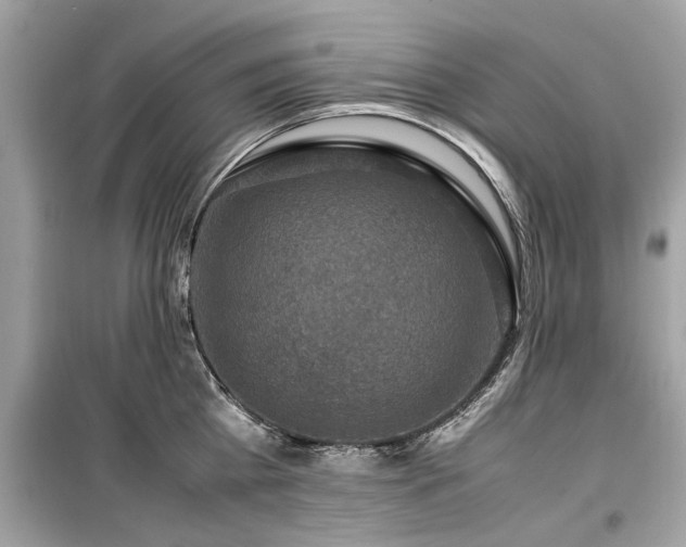 X0000099570809200805161515