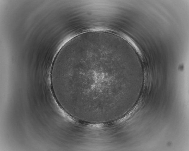 X0000099570810200805161515