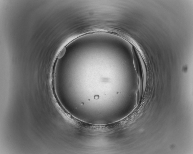 X0000099570811200805161515