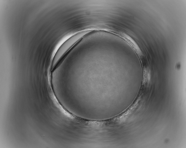 X0000099570812200805161515