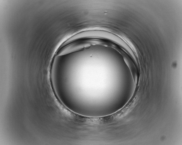 X0000099570813200805161515