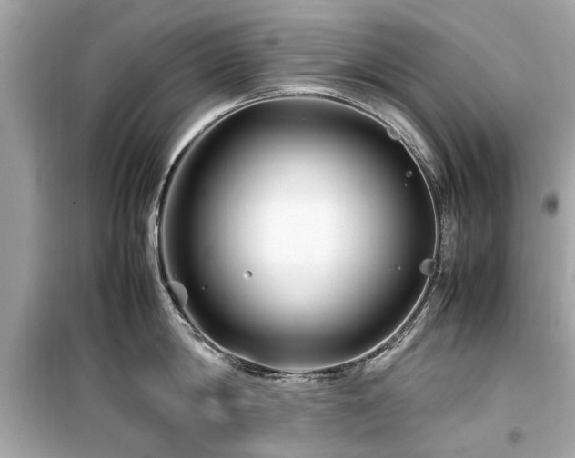 X0000099570814200805161515