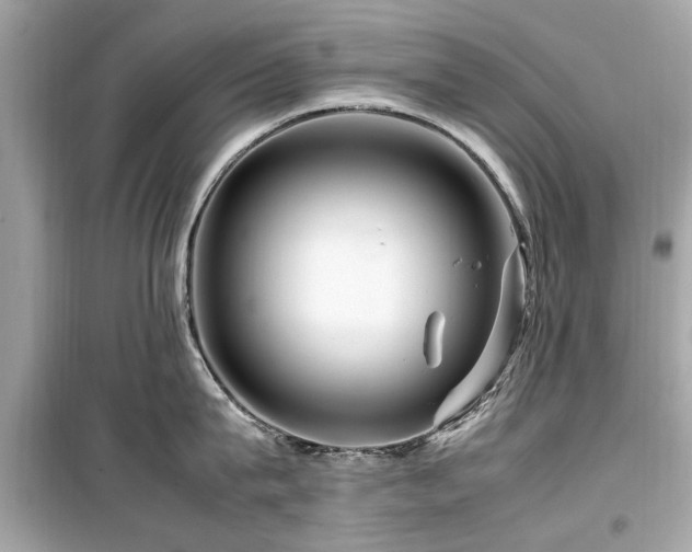 X0000099570815200805161515