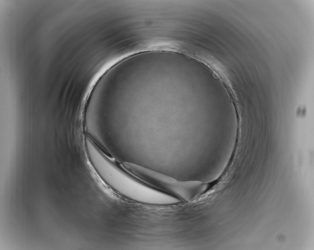 X0000099570816200805161515