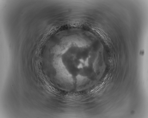 X0000099570817200805161514