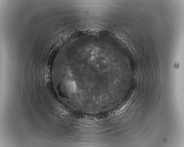 X0000099570818200805161514