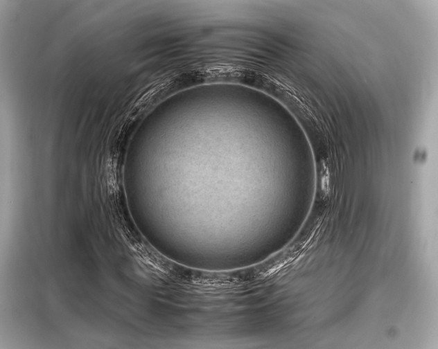 X0000099570819200805161514