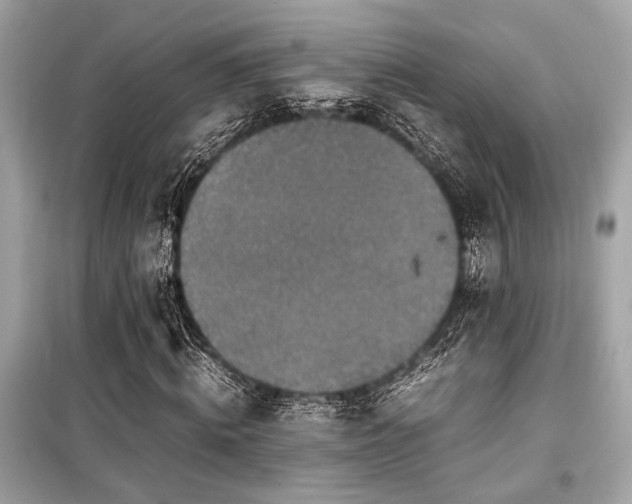 X0000099570820200805161514