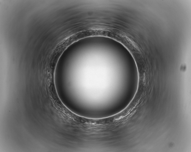 X0000099570821200805161514