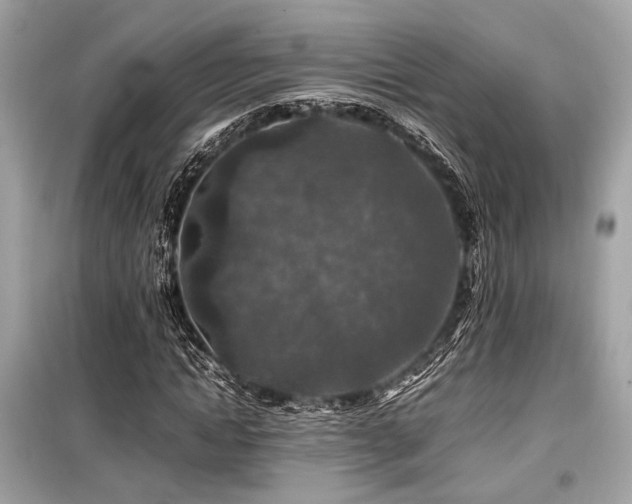 X0000099570822200805161514