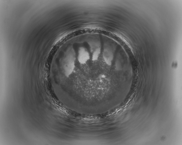 X0000099570823200805161514