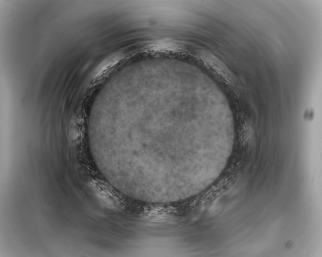 X0000099570824200805161514