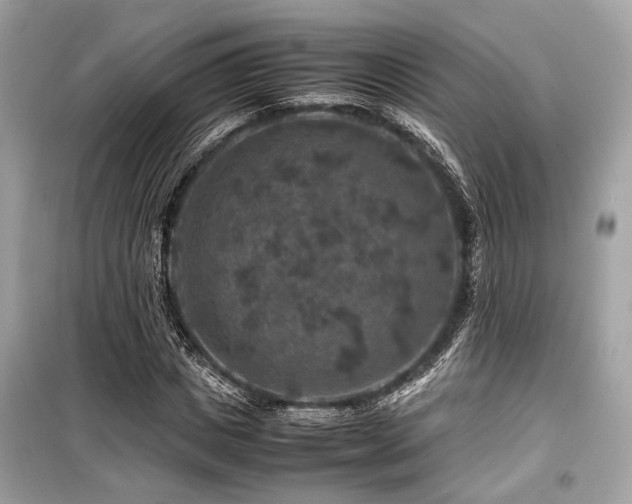 X0000099570825200805161514