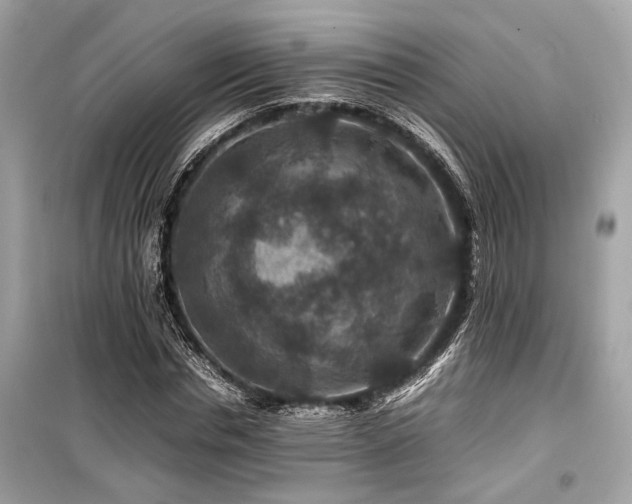 X0000099570826200805161514