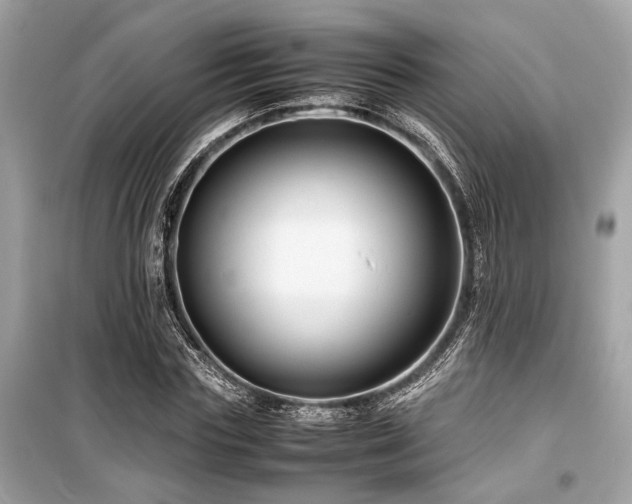 X0000099570827200805161514