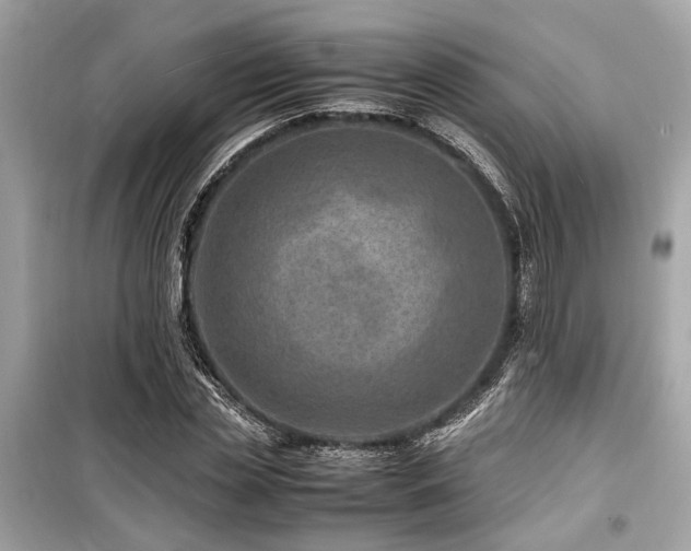 X0000099570829200805161515