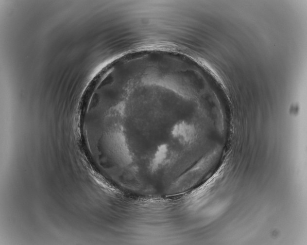 X0000099570830200805161515