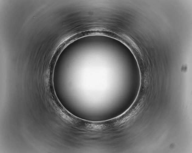 X0000099570831200805161515