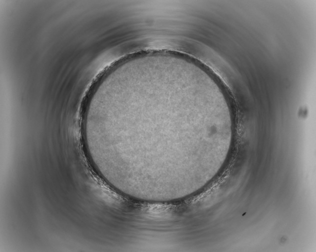 X0000099570832200805161515