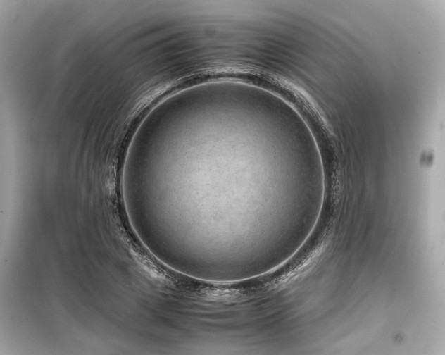 X0000099570833200805161515