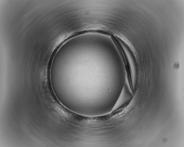 X0000099570834200805161515