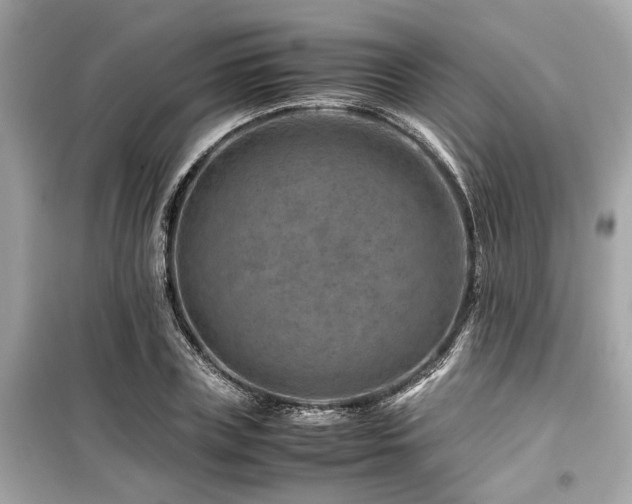 X0000099570835200805161515