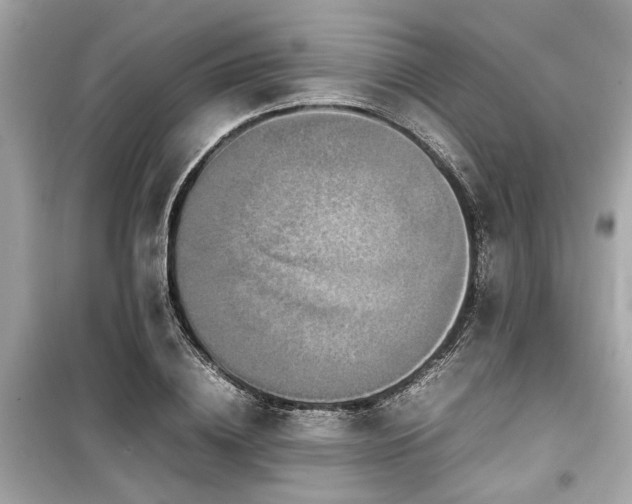 X0000099570836200805161515