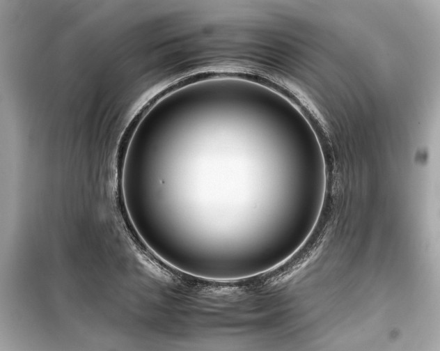 X0000099570837200805161515