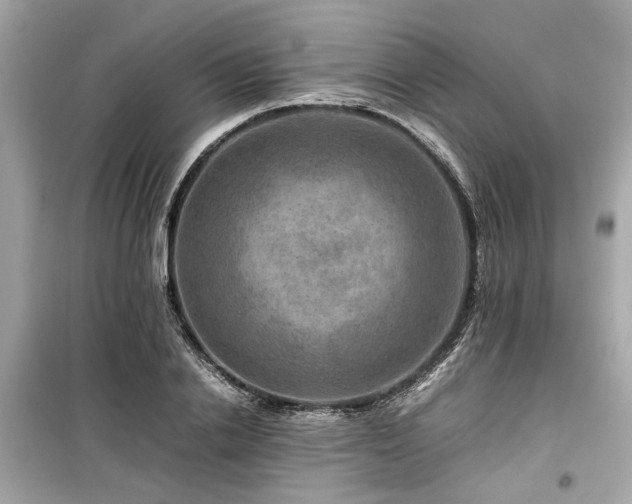 X0000099570838200805161515