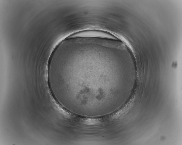 X0000099570839200805161515