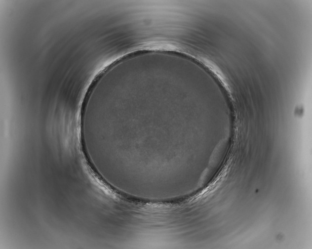 X0000099570840200805161515