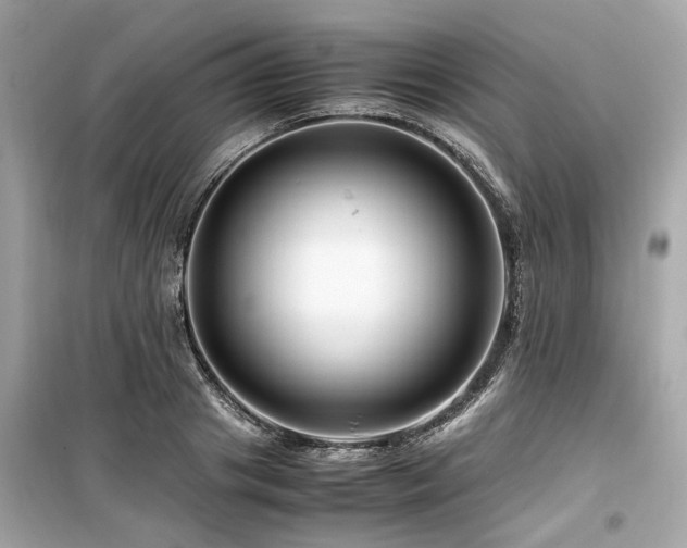 X0000099570841200805161515