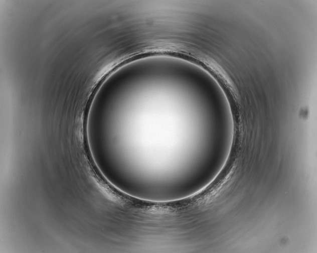 X0000099570842200805161515