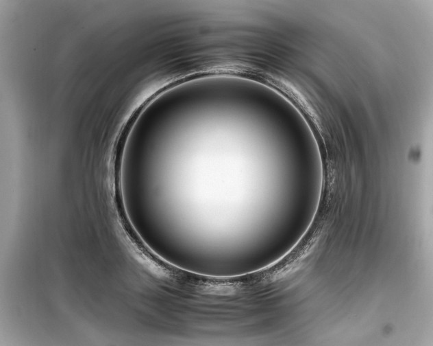 X0000099570843200805161515