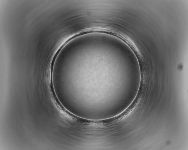 X0000099570844200805161515