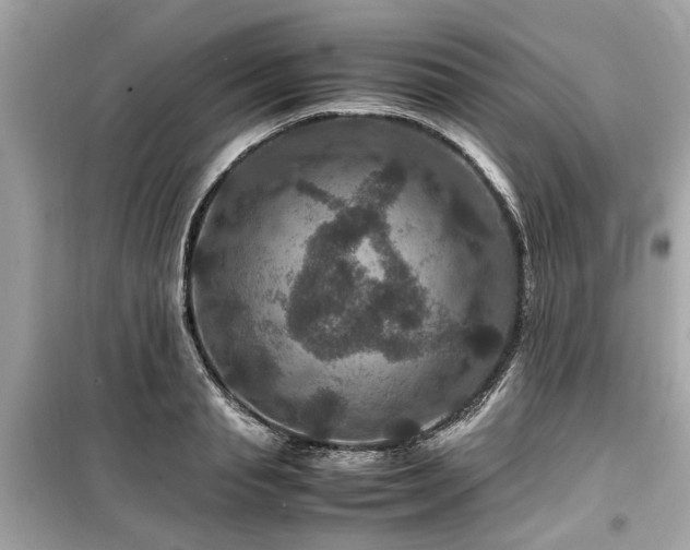 X0000099570845200805161515