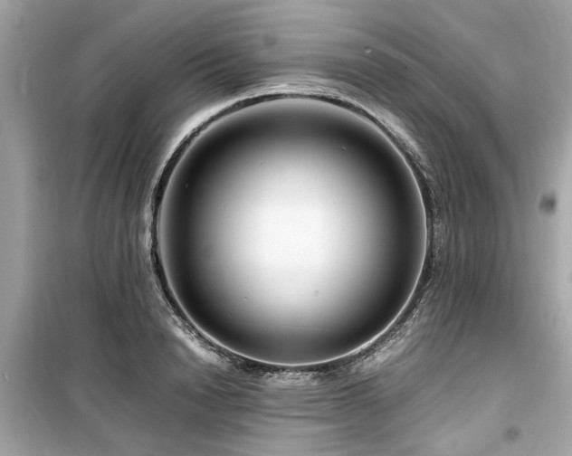 X0000099570846200805161515