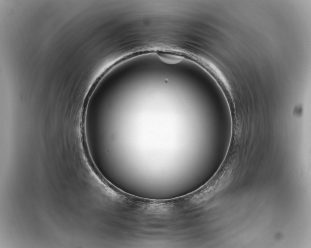 X0000099570847200805161515