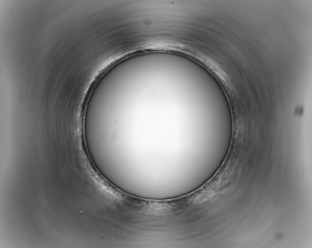 X0000099570848200805161515