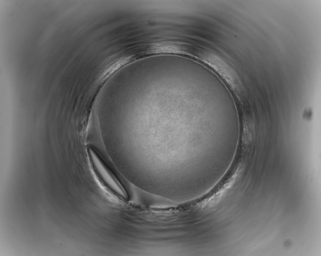 X0000099570849200805161515