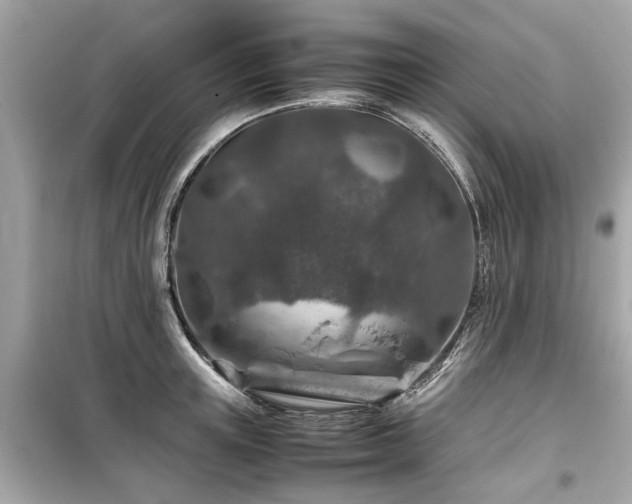 X0000099570851200805161515