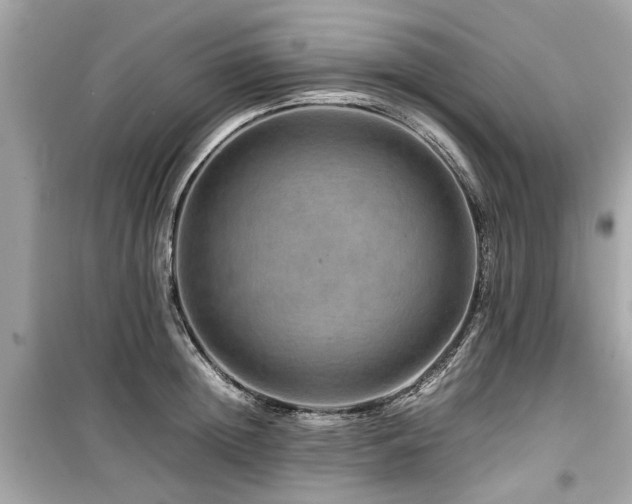 X0000099570852200805161515