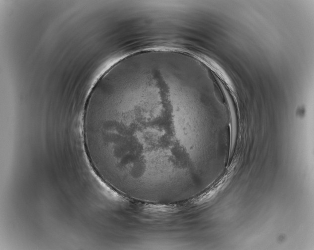 X0000099570855200805161515