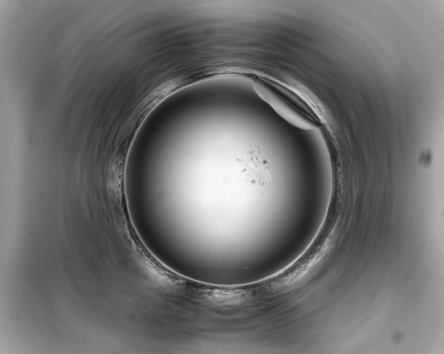 X0000099570857200805161515