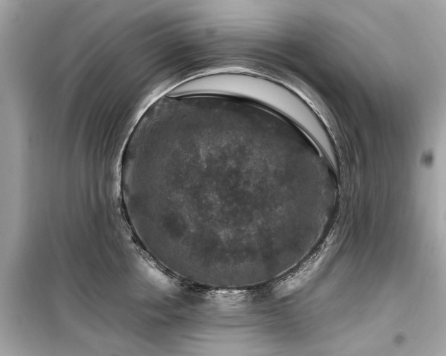 X0000099570858200805161515